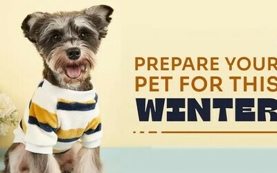 #BePrepared - Winter Preparedness for Pets