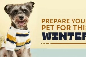 #BePrepared - Winter Preparedness for Pets